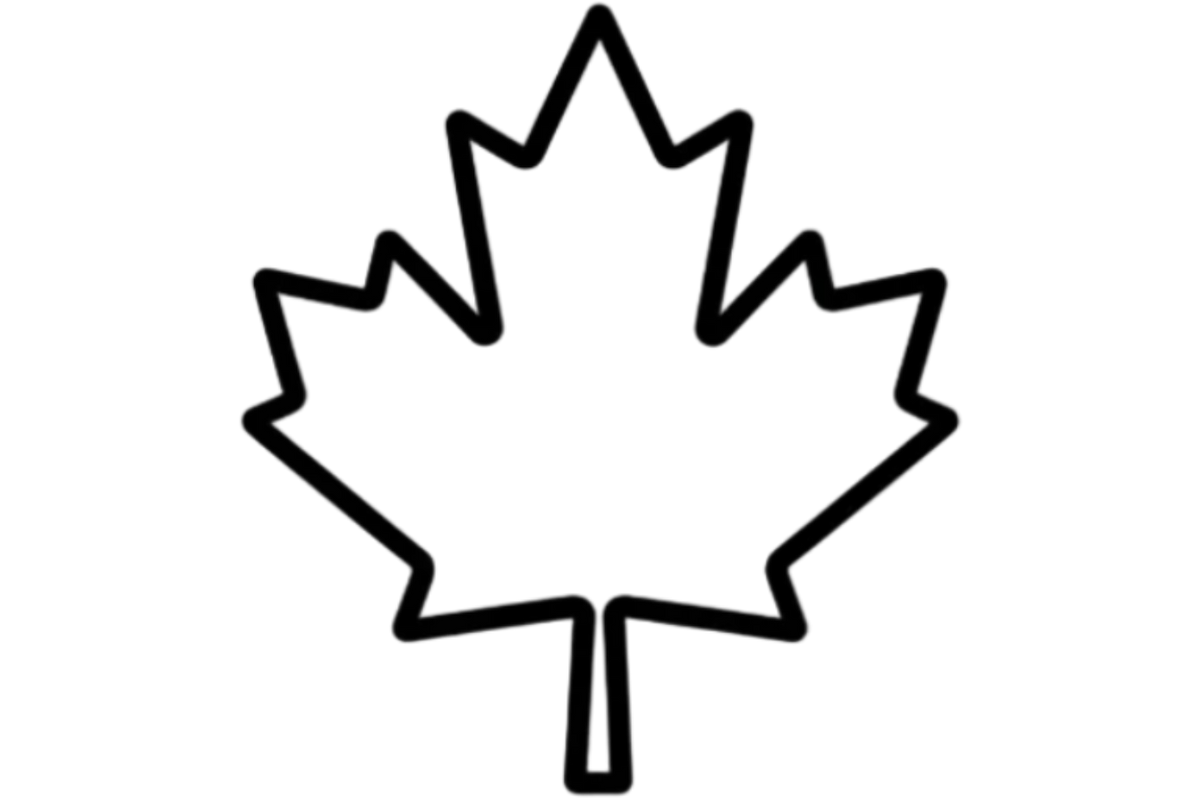 make it black and white